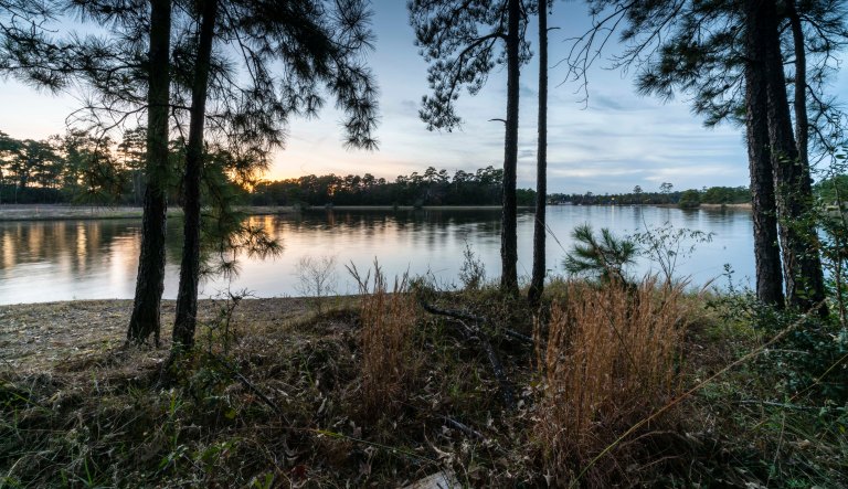 David BeckLake WoodlandsDSC02054