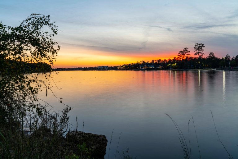 David BeckLake WoodlandsDSC02065