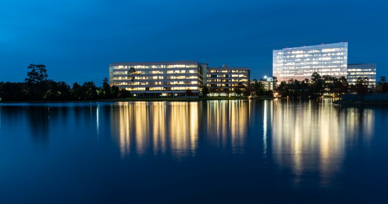 David BeckLake WoodlandsDSC02079