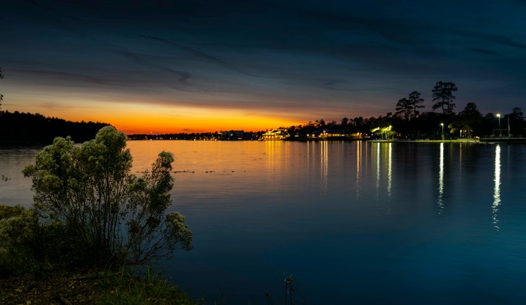 David BeckLake WoodlandsDSC02083