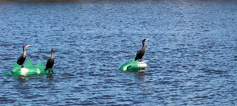 3f5d7448-753f-4cf6-9f0d-6fe58bd22e41