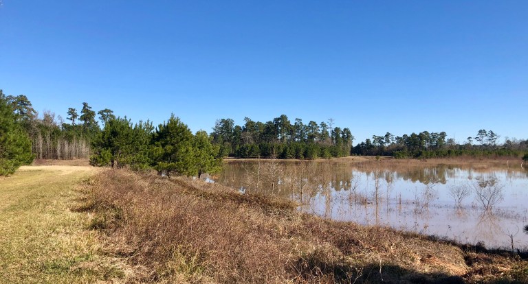 4d8fa009-5eb5-46bb-9ec2-e7c6f55e8325