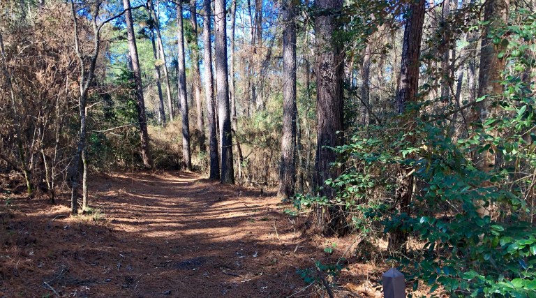 c9bb5f5d-50d2-4d21-8478-36cdc3824fe5