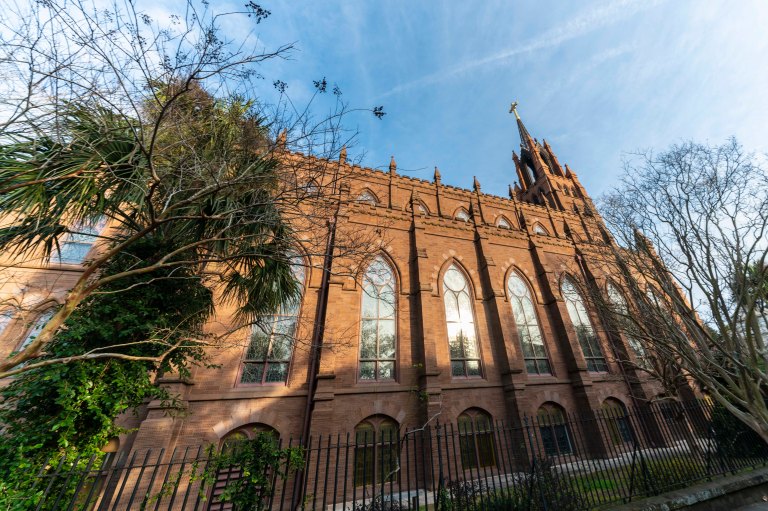 david beckcharlestondsc02764