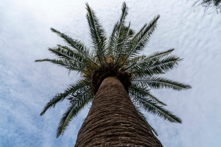 david beckcharlestondsc02771