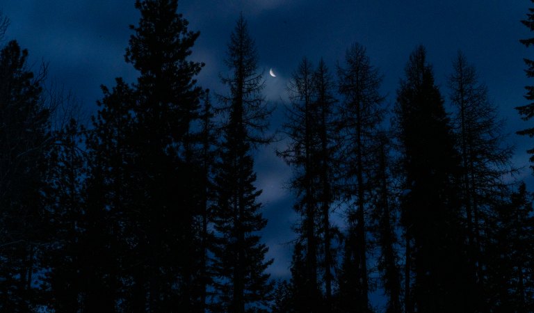 david beckmccalldsc02802