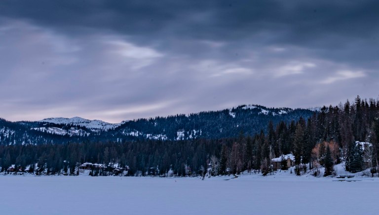 david beckmccalldsc02836