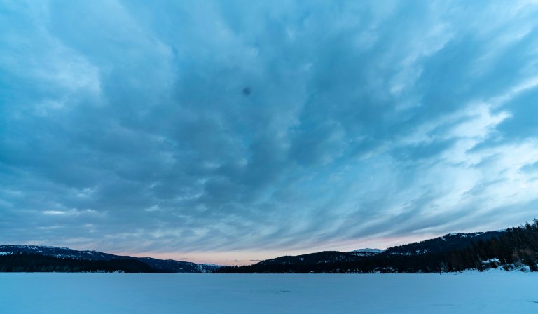 david beckmccalldsc02849