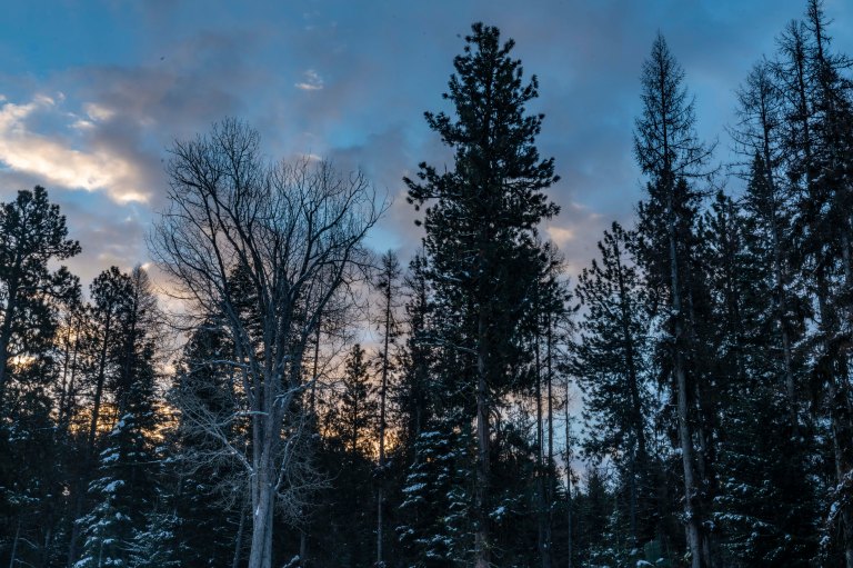 david beckmccalldsc02872