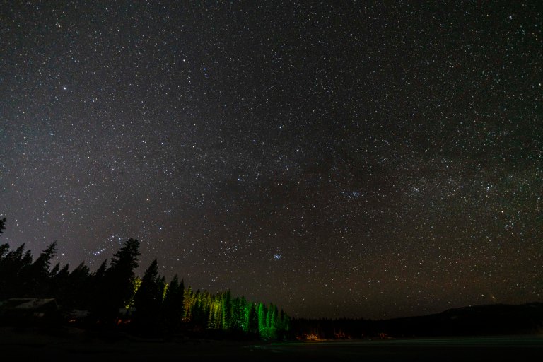 david beckmccalldsc02885