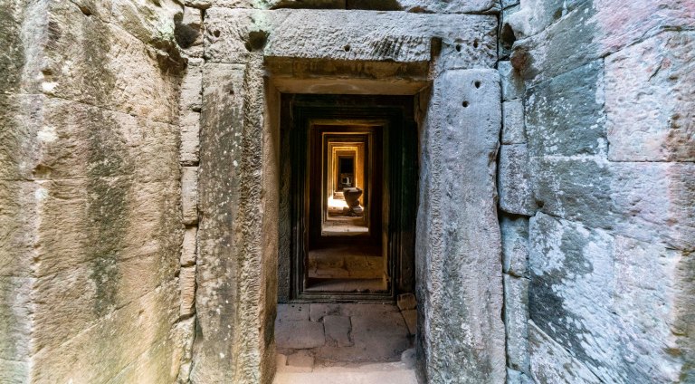 david becksiam reapdsc02422