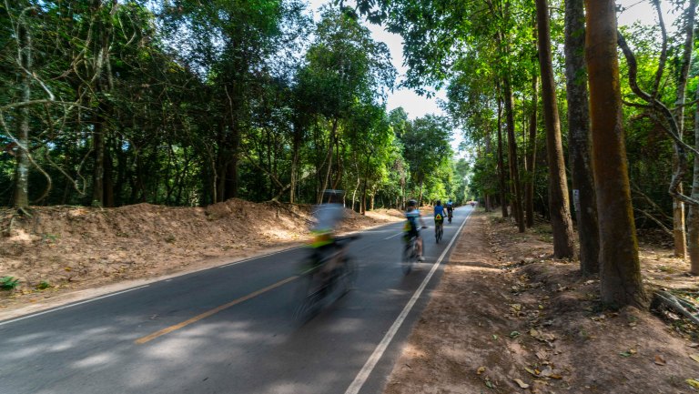 david becksiam reapdsc02444