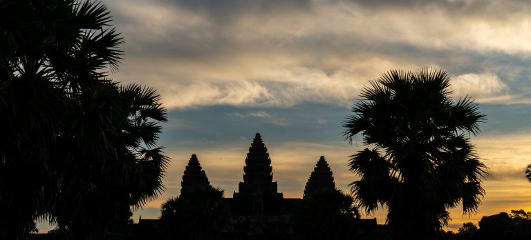 david becksiam reapdsc02542