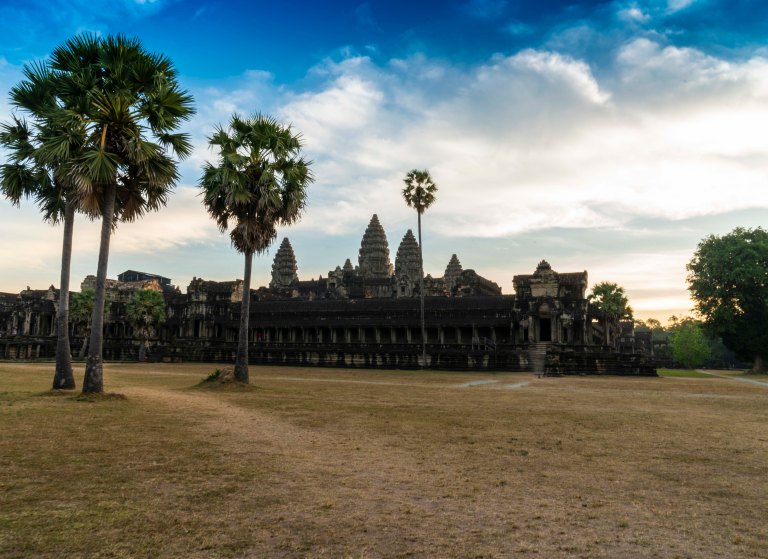 david becksiam reapdsc02556