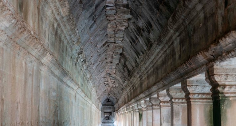 david becksiam reapdsc02574