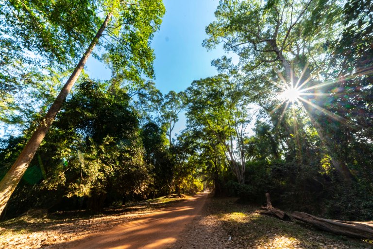 david becksiam reapdsc02607