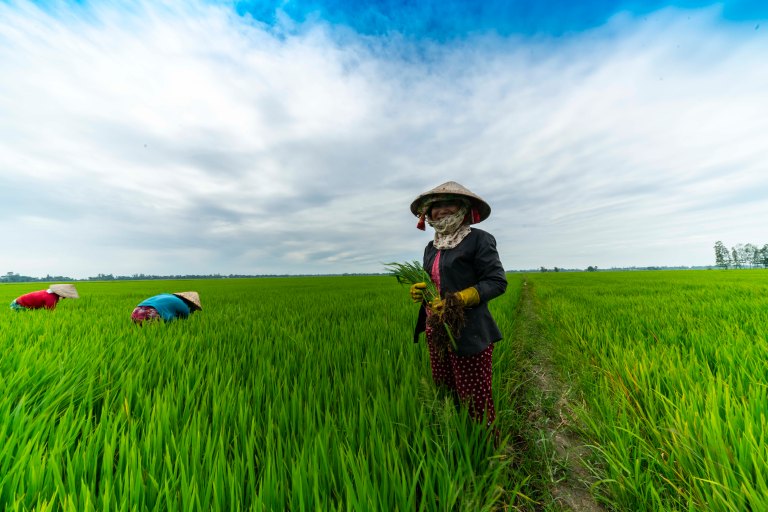 david beckvietnamdsc02695