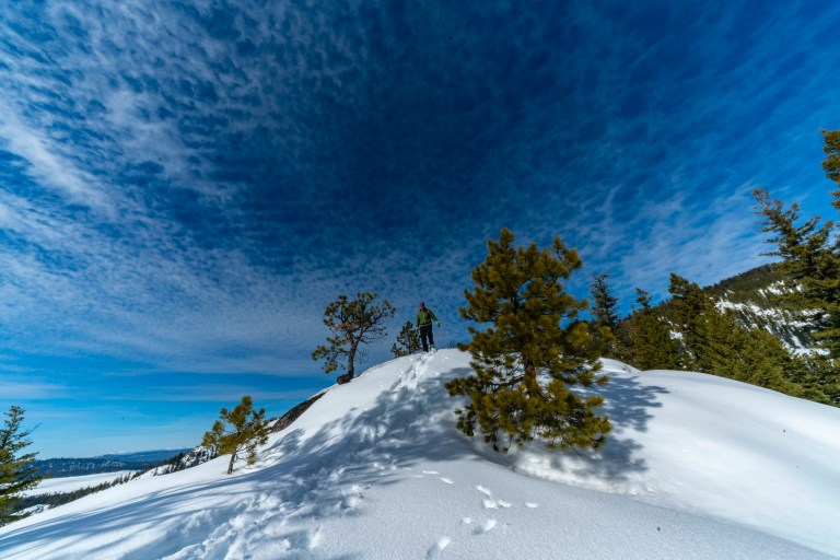 53F20A47-B5F8-4870-BB30-36D5B38B8C1A