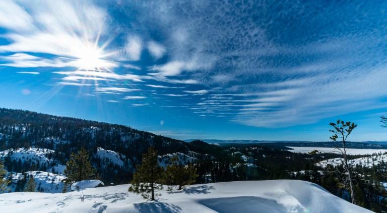 8E39E9F4-4BEE-43E0-B40B-37B429559584