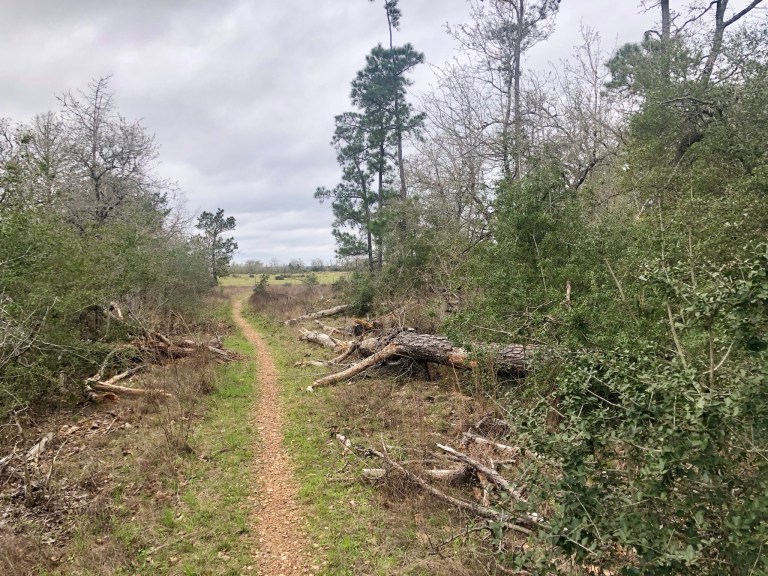 00A4BE16-6B96-44D5-B0AA-8D5D11F7F4B2