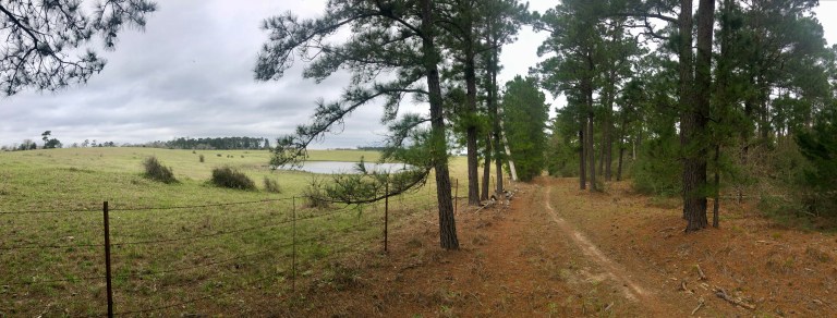 0C7F49B4-8FF9-4186-A455-B2499FEFDFC9