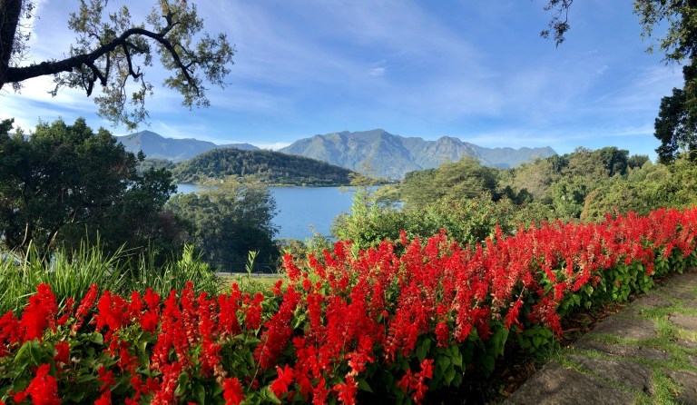 1E93F718-0870-412F-9EF3-6A5DB313CE79