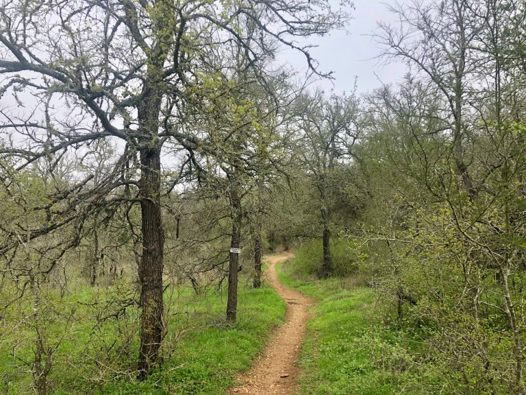 418AF584-8A7B-4265-9519-ADCC19831E09