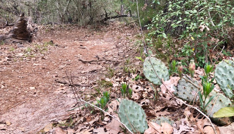 B0E16361-5073-4366-89B0-F783609CC5AF