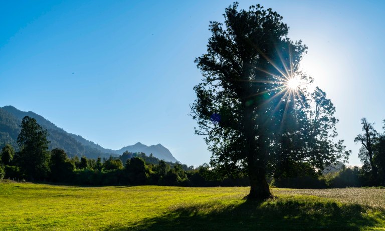 David BeckChileDSC03253