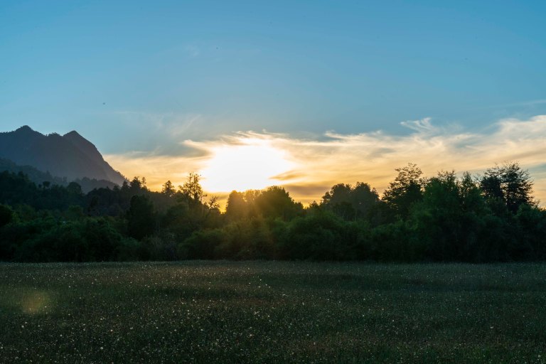 David BeckChileDSC03268