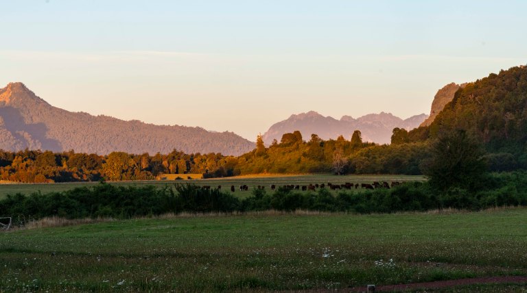 David BeckChileDSC03303