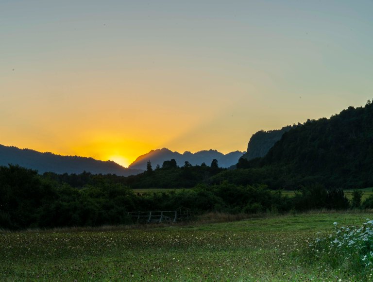 David BeckChileDSC03420