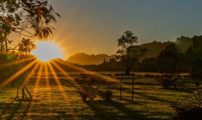 David BeckChileDSC03440_1