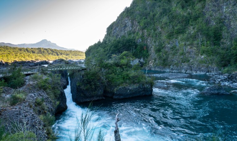 David BeckChileDSC03446