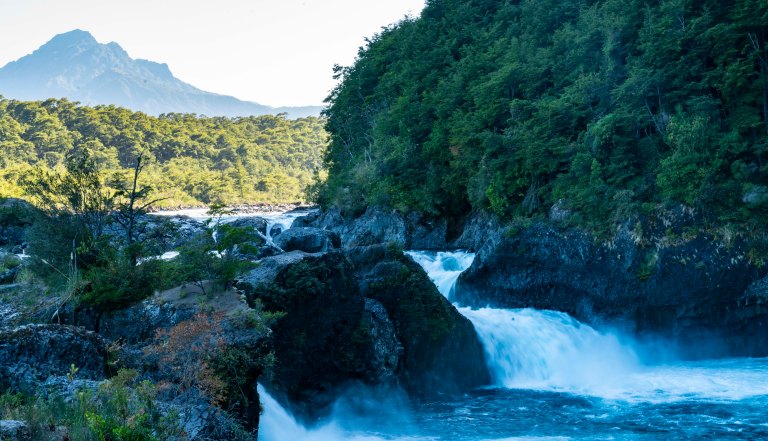 David BeckChileDSC03456