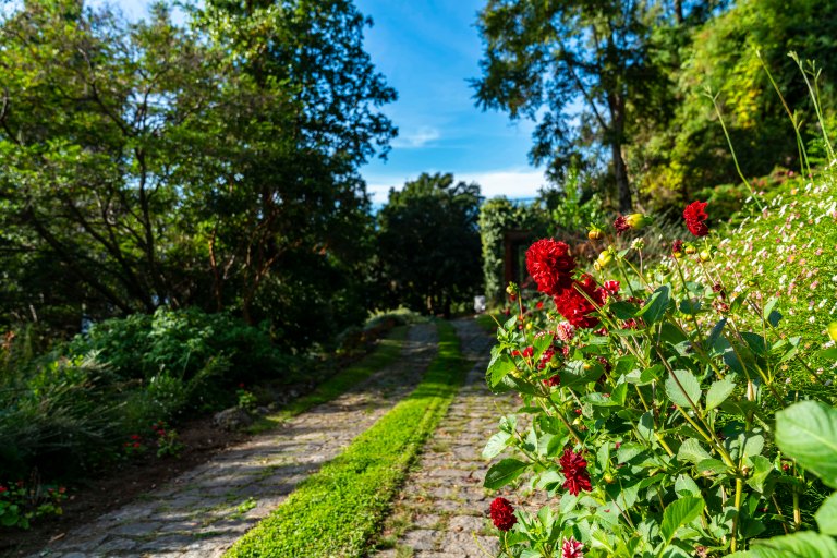 David BeckPalm DesertDSC03047