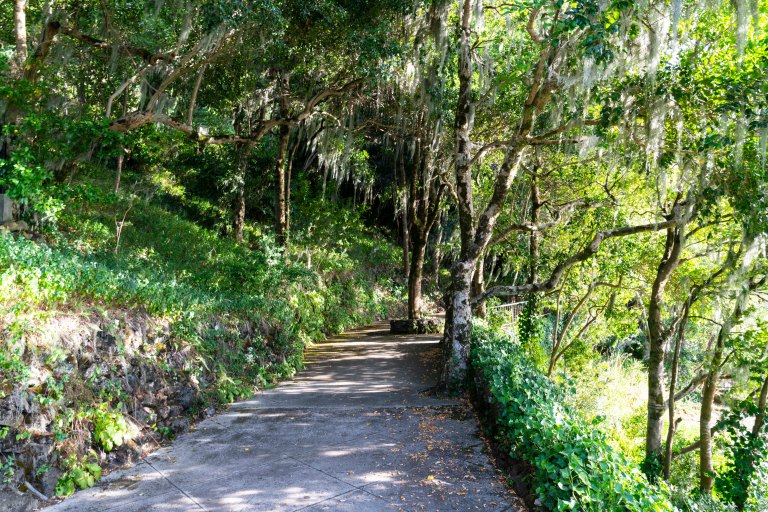 David BeckPalm DesertDSC03048