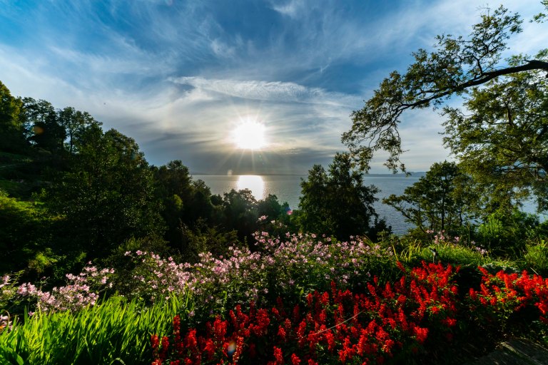 David BeckPalm DesertDSC03060