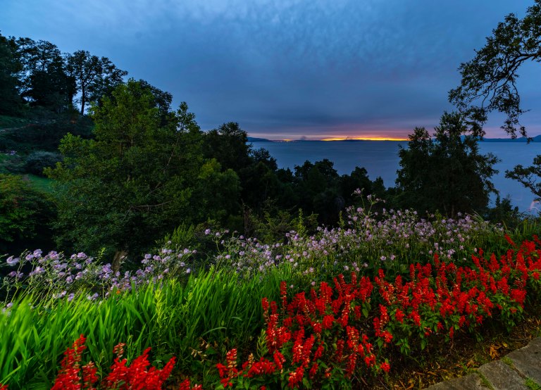 David BeckPalm DesertDSC03095