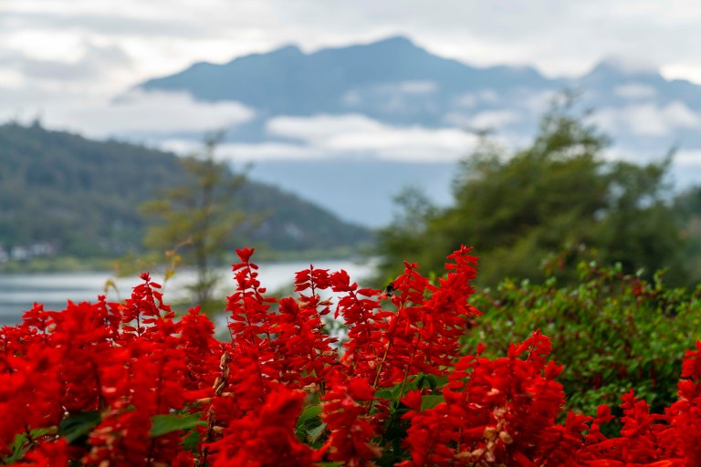 David BeckPalm DesertDSC03100