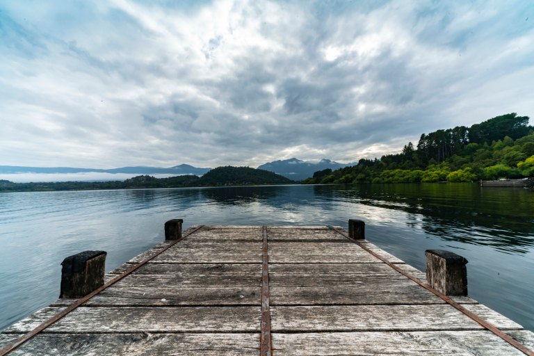 David BeckPalm DesertDSC03108