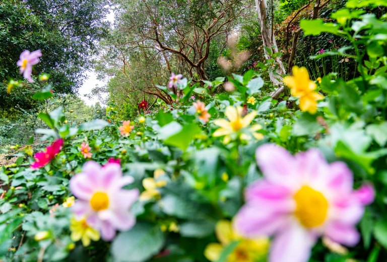 David BeckPalm DesertDSC03123