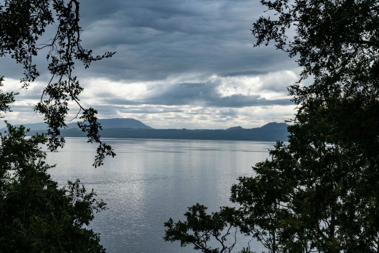 David BeckPalm DesertDSC03132