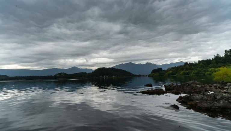 David BeckPalm DesertDSC03150