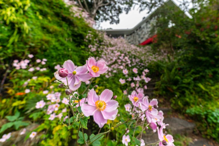 David BeckPalm DesertDSC03159