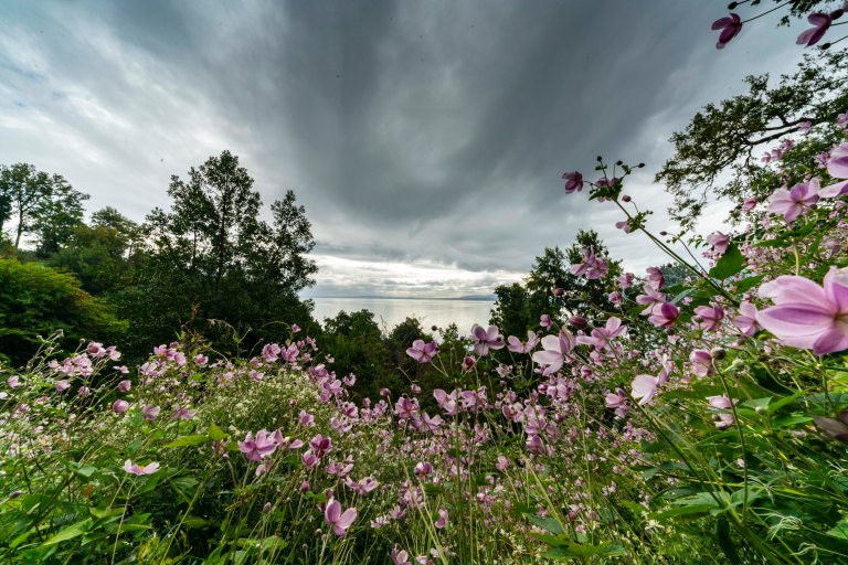 David BeckPalm DesertDSC03172