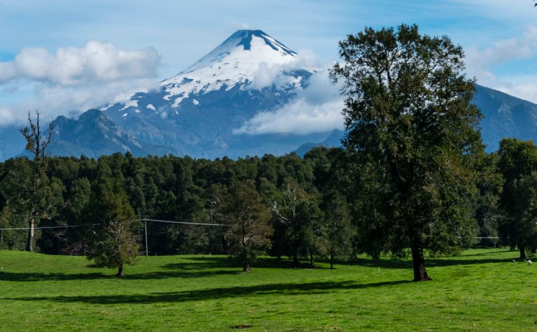 David BeckPalm DesertDSC03190