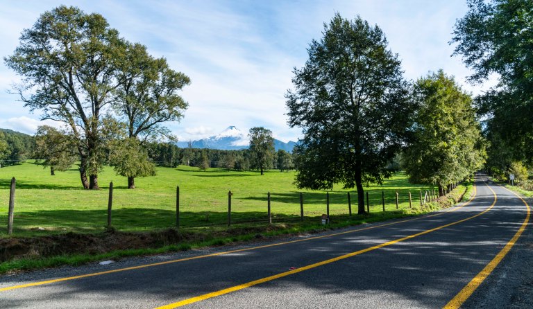 David BeckPalm DesertDSC03194