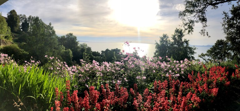 E14C93AE-3233-415B-9638-5E06AFF89E23