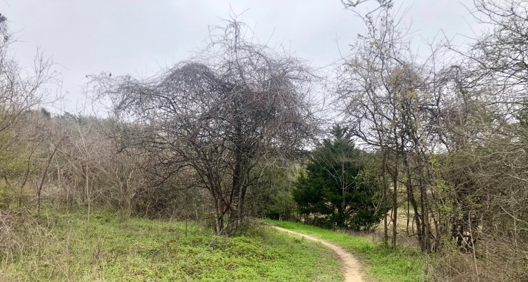 F66EA38D-D037-474A-BAA1-28ECCB3718E4